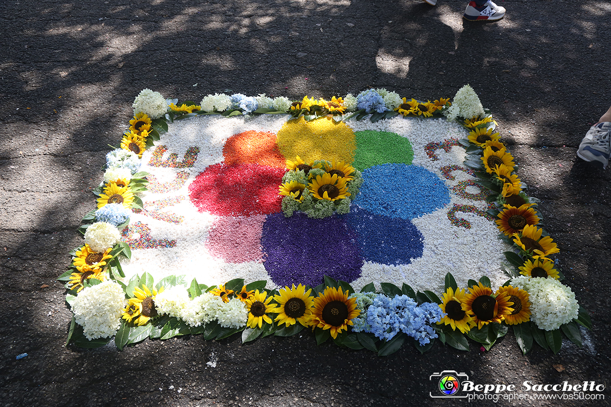 VBS_9972 - Infiorata di Villanova d'Asti 2023.jpg
